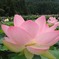 DSCN0904