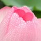 DSCN0910