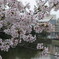 春