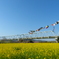 2012春-037
