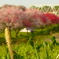 2012春-040