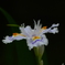 2012春-043