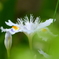 2012春-045