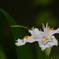 2012春-046