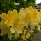 2012春-050