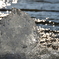 splashing from a fountain