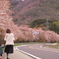母と娘の桜街道