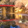 桜と流水