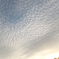 DSCF0743