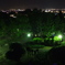 DSCF0810