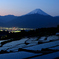 棚田の夜明け