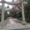 sakura road