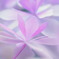 花の舞