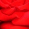 Tango delle rose 