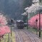 わたらせ渓谷鉄道