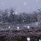 雪