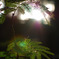 the gleam in a cave