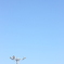 空色