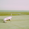 SKYMARK AT KOBE AIRPORT