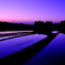 宕陰の棚田・Magic Hour