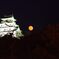 城と月