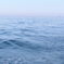 wave