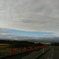 雲