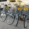 レンタサイクル
