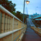 photo_183595