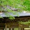 新緑の楼閣