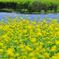 写真 12-05-07 21 01 49