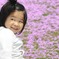 茶臼山の芝桜