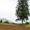 大山を望む丘