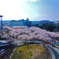 桜のある風景
