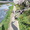 夏井川千本桜