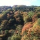 2010-11-02 12.21.18