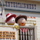 TDR　イースターエッグ・ウッディとジェシー