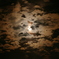 eclipse of the sun5
