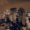 TOKYO NIGHT VIEW３