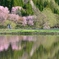 湖畔の彩り