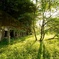 Fort