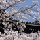 根来寺