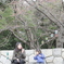 春待ち中