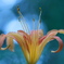 2009_09_26__7808
