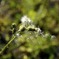 _DSC0134