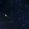 小さな宇宙
