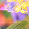 DPP_2628