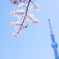 ふと空を見上げたら