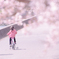 桜色