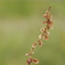 P5221054